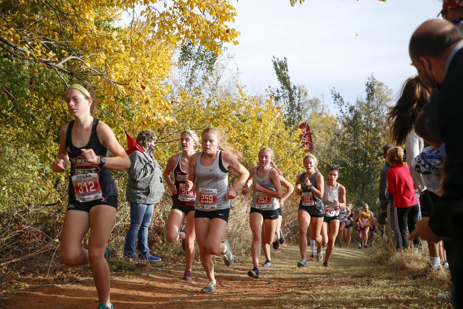 State Cross Country